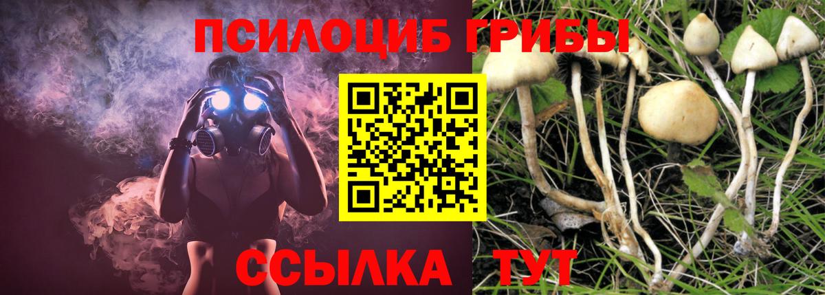 Ревда  Галлюциногенные грибы прущие грибы  Псилоцибиновые грибы Cubensis  Вход с VPN 