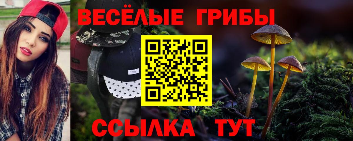Псилоцибиновые грибы ЛСД Ревда